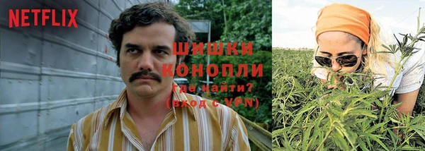МДПВ Белокуриха